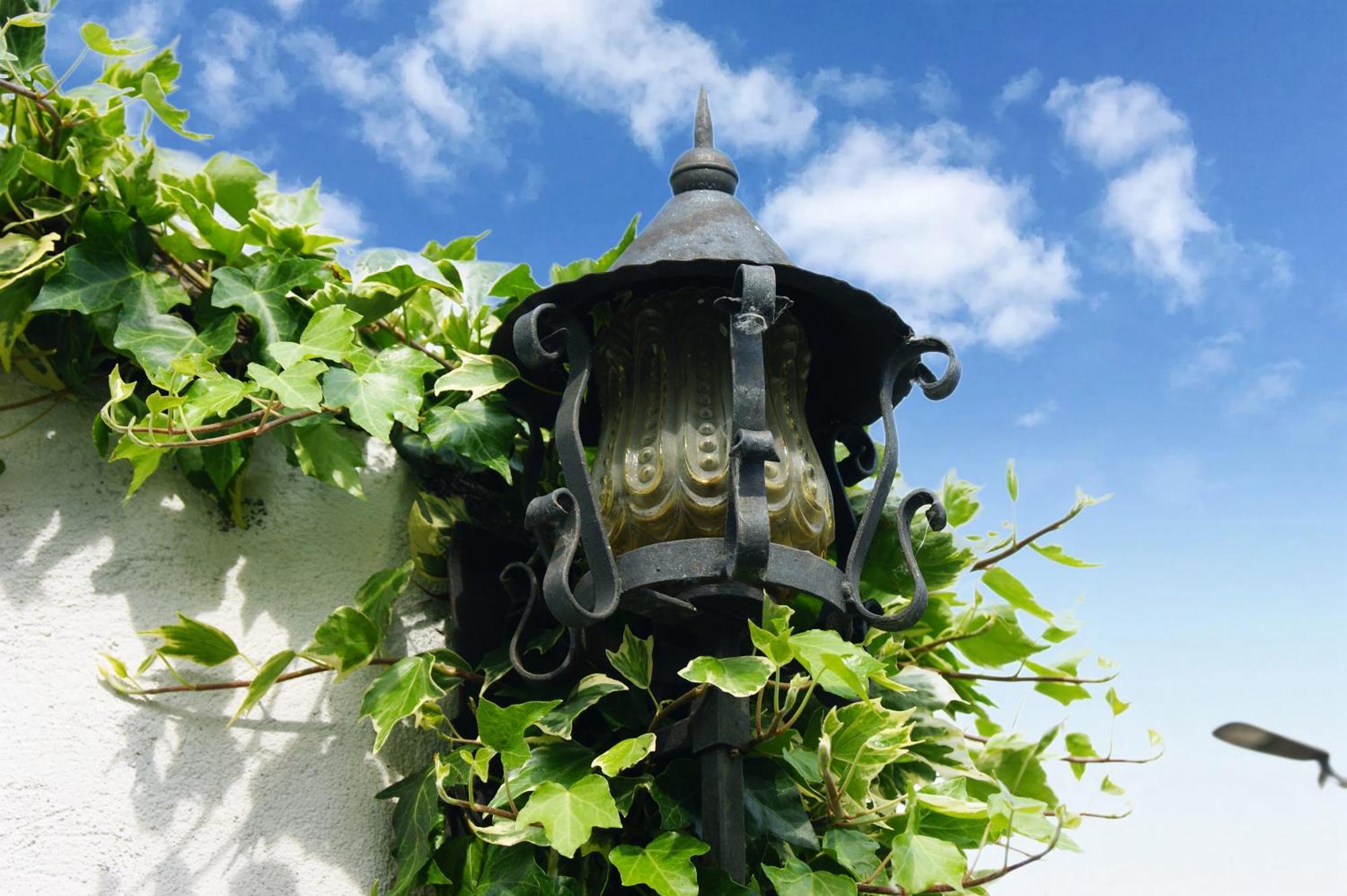 Dulcius Ex Asperis Bed & Breakfast Ponte Nizza エクステリア 写真