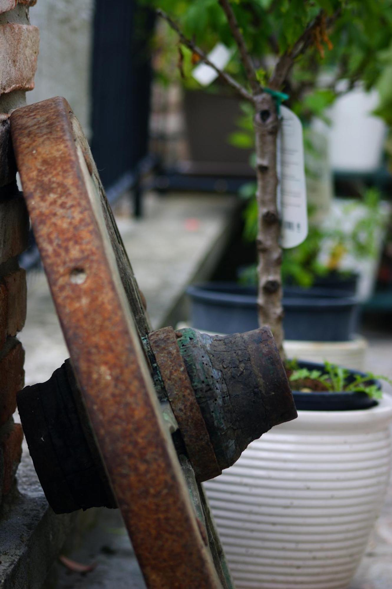 Dulcius Ex Asperis Bed & Breakfast Ponte Nizza エクステリア 写真